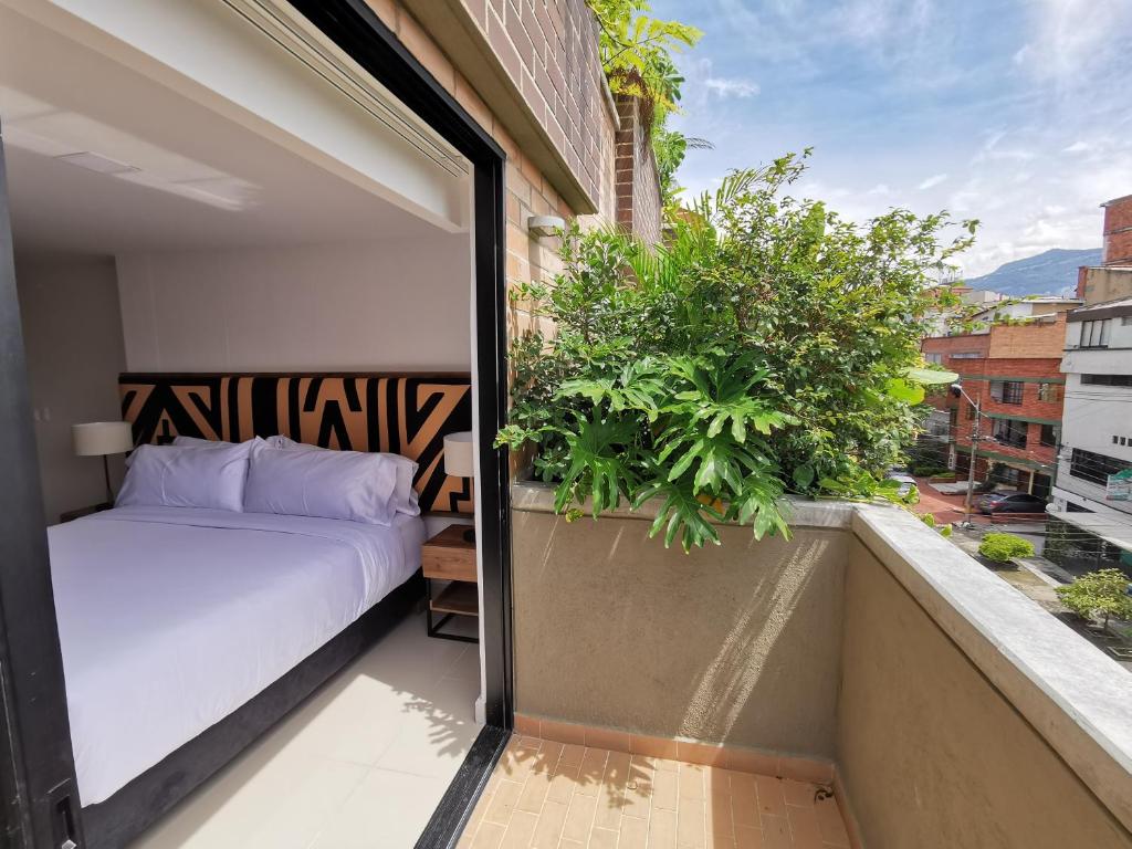 Rooftop terrace with city view
